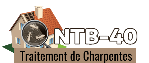 NTB-40 Traitement de Charpentes